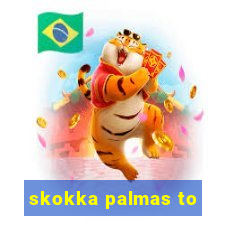 skokka palmas to